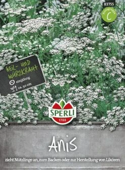 Anis Pimpinella Anisum