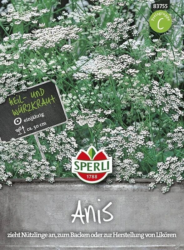 Anis Pimpinella Anisum 3 Anis Pimpinella Anisum