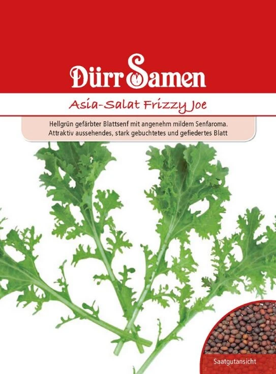 Asia-Salat Frizzy Joe, Hellgrün Gefärbter Blattsenf Mit Angenehm Mildem Senfaroma 3 Asia-Salat Frizzy Joe, Hellgrün Gefärbter Blattsenf Mit Angenehm Mildem Senfaroma