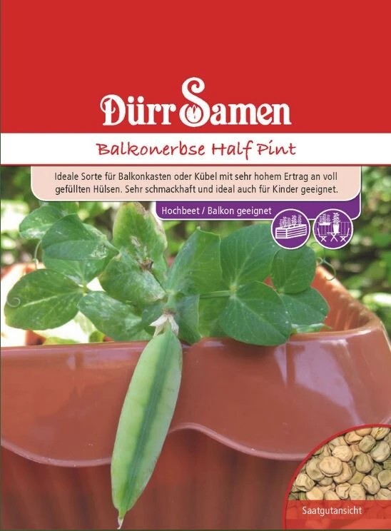 Balkonerbse Half Pint (Erbsensamen), Sehr Hoher Ertrag An Voll Gefüllten Hülsen, Ideal Für Kübel 4 Balkonerbse Half Pint (Erbsensamen), Sehr Hoher Ertrag An Voll Gefüllten Hülsen, Ideal Für Kübel – Bild 2