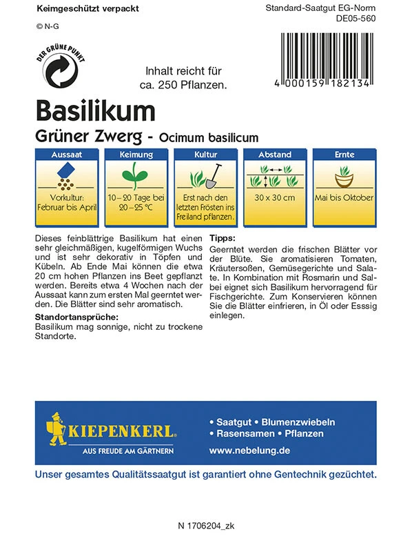 Basilikum Grüner Zwerg, Kleinblättriges Topfbasilikum Mit Buschigem Kugeligem Wuchs 3 Basilikum Grüner Zwerg, Kleinblättriges Topfbasilikum Mit Buschigem Kugeligem Wuchs
