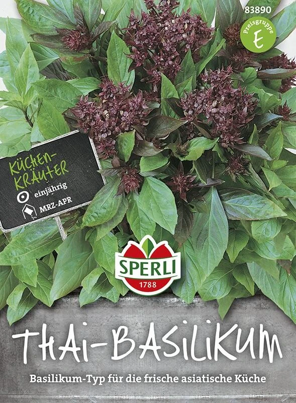 Basilikum Thai-Basilikum 3 Basilikum Thai-Basilikum