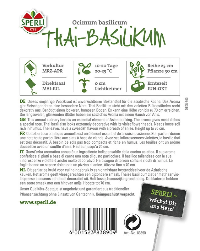 Basilikum Thai-Basilikum 4 Basilikum Thai-Basilikum – Bild 2