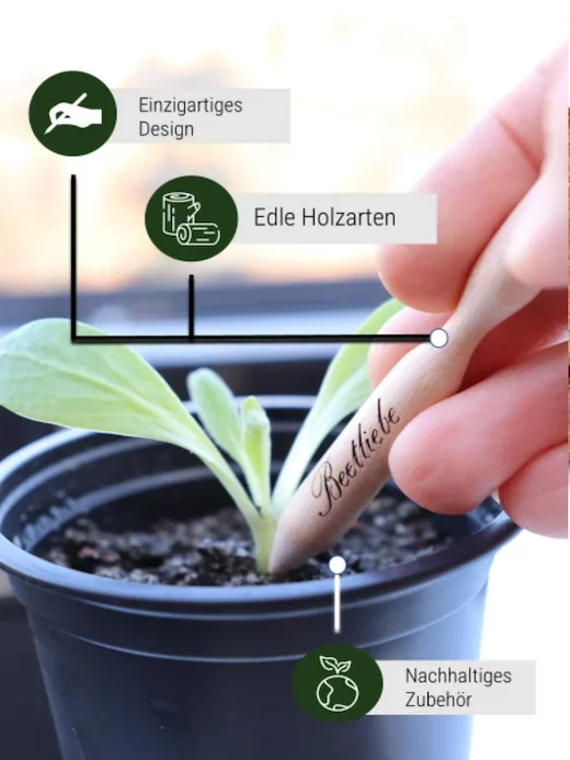Beetliebe Pikierstab Aus Holz - Mehrere Holzarten Auswählbar 4 Beetliebe Pikierstab Aus Holz - Mehrere Holzarten Auswählbar – Bild 2