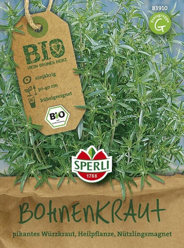 BIO Bohnenkraut Cyrano 4 BIO Bohnenkraut Cyrano – Bild 2