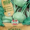 BIO Kohlrabi Weiß, Schossfest, Kübelgeeignet, Frühe Freilandsorte, Bio-Saatgut Von Sperli 1 BIO Kohlrabi Weiß, Schossfest, Kübelgeeignet, Frühe Freilandsorte, Bio-Saatgut Von Sperli -Krauter Samen Geschaft bio kohlrabi weiss