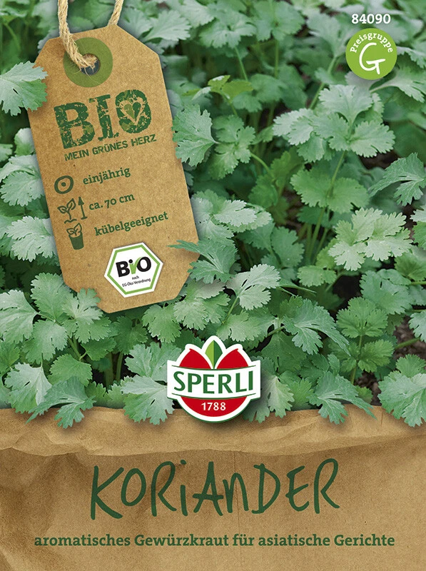BIO Koriander Coriandrum Sativum 4 BIO Koriander Coriandrum Sativum – Bild 2