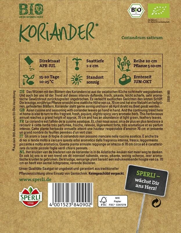 BIO Koriander Coriandrum Sativum 3 BIO Koriander Coriandrum Sativum