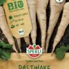 BIO Pastinake, Robuste Sorte, Sehr Vitaminreich, Bio Saatgut Von Sperli 1 BIO Pastinake, Robuste Sorte, Sehr Vitaminreich, Bio Saatgut Von Sperli -Krauter Samen Geschaft bio pastinake 1