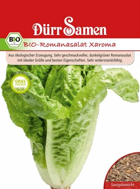BIO Romana-Salat Xaroma Genügsam Und Pflegeleicht 4 BIO Romana-Salat Xaroma Genügsam Und Pflegeleicht – Bild 2
