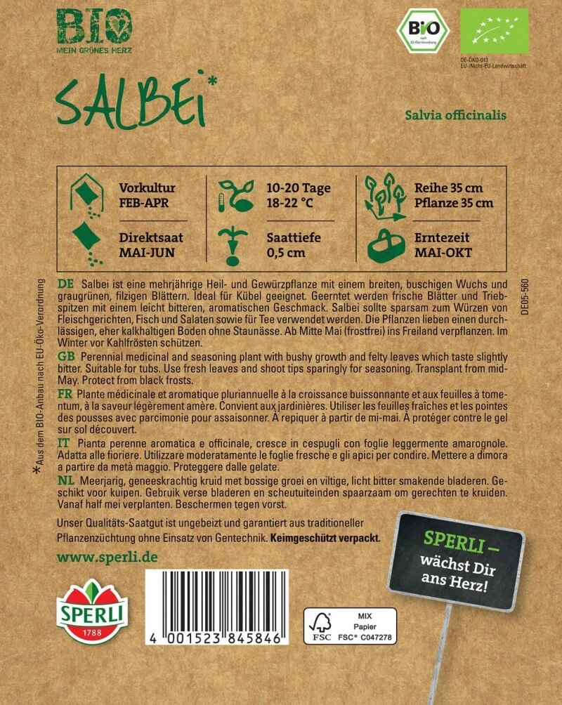 BIO Salbei, Mehrjährige Heil- Und Gewürzpflanze Mit Einem Breiten Buschigen Wuchs 3 BIO Salbei, Mehrjährige Heil- Und Gewürzpflanze Mit Einem Breiten Buschigen Wuchs