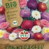 BIO Sommeraster, Kleinblumige Gefüllt Blühende 'Zuckertüten Mix' Begeistert Durch Die Riesige Farbvielfalt 1 BIO Sommeraster, Kleinblumige Gefüllt Blühende 'Zuckertüten Mix' Begeistert Durch Die Riesige Farbvielfalt -Krauter Samen Geschaft bio sommeraster