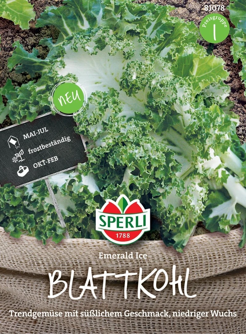 Blattkohl Emerald Ice, Aufrecht Wachsender Kohl Mit Gekräuselten Grün-weißen Blättern, Langer Erntezeitraum 4 Blattkohl Emerald Ice, Aufrecht Wachsender Kohl Mit Gekräuselten Grün-weißen Blättern, Langer Erntezeitraum – Bild 2