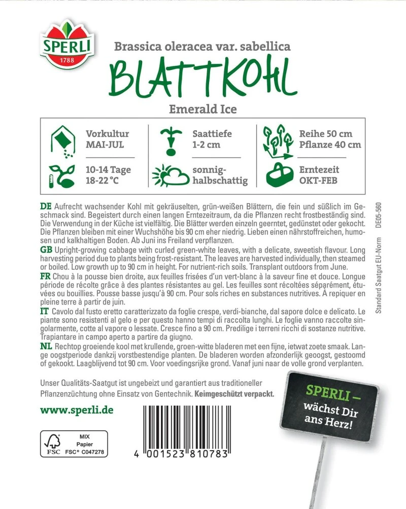 Blattkohl Emerald Ice, Aufrecht Wachsender Kohl Mit Gekräuselten Grün-weißen Blättern, Langer Erntezeitraum 3 Blattkohl Emerald Ice, Aufrecht Wachsender Kohl Mit Gekräuselten Grün-weißen Blättern, Langer Erntezeitraum