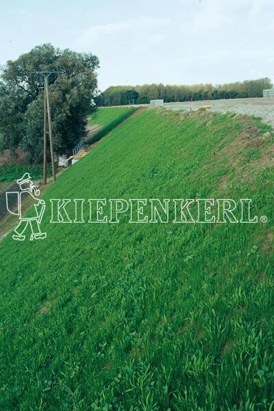Böschungsansaat Mit Klee DSV 87010kg 3 Böschungsansaat Mit Klee DSV 87010kg