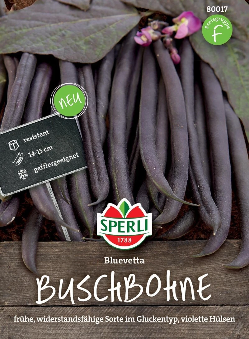 Buschbohne Bluevetta, Reifen Früh Und Schmecken Sehr Aromatisch, Von Natur Aus Widerstandsfähig Und Robust 3 Buschbohne Bluevetta, Reifen Früh Und Schmecken Sehr Aromatisch, Von Natur Aus Widerstandsfähig Und Robust
