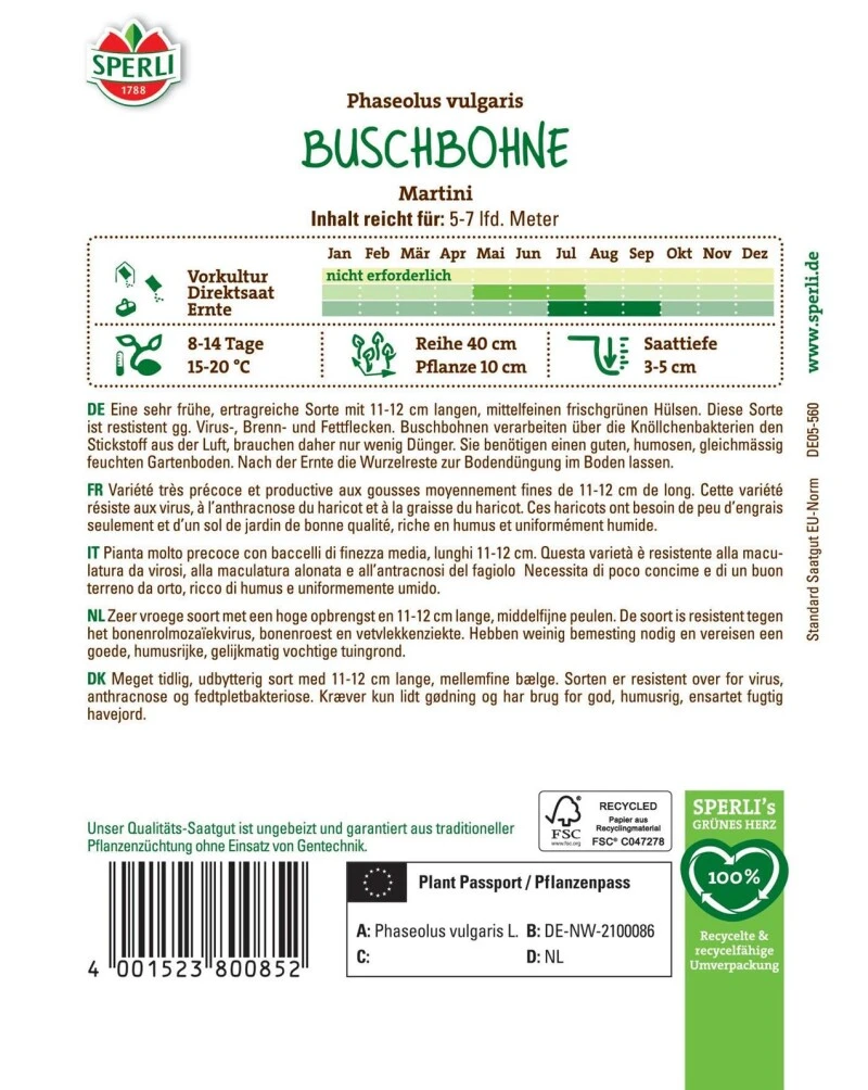 Buschbohne Martini, Sehr Frühe Ertragreiche Sorte, Resistent 3 Buschbohne Martini, Sehr Frühe Ertragreiche Sorte, Resistent