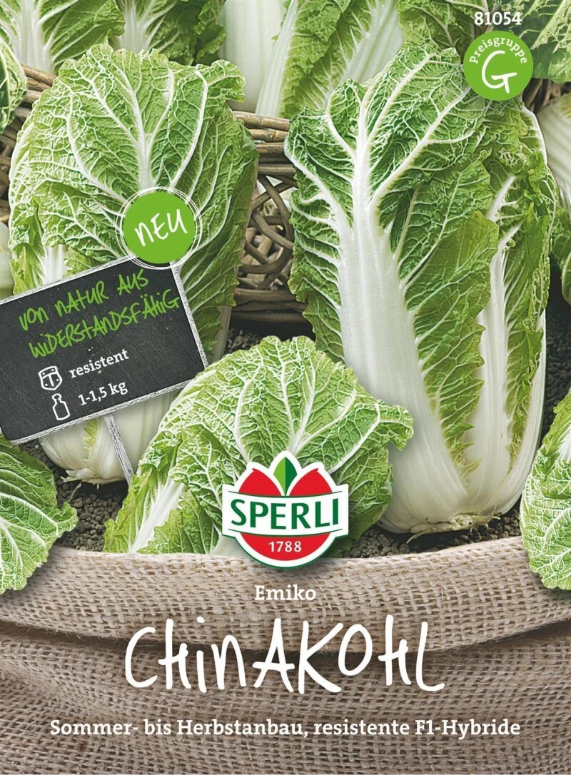 Chinakohl Emiko, Sommer Bis Herbstanbau, Resistente F1-Hybride 4 Chinakohl Emiko, Sommer Bis Herbstanbau, Resistente F1-Hybride – Bild 2