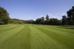 DSV-Rasensamen 4.4.5 Masters Fairway 10kg