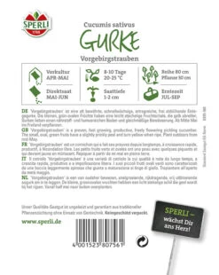 Einlege Gurke Vorgebirgstrauben