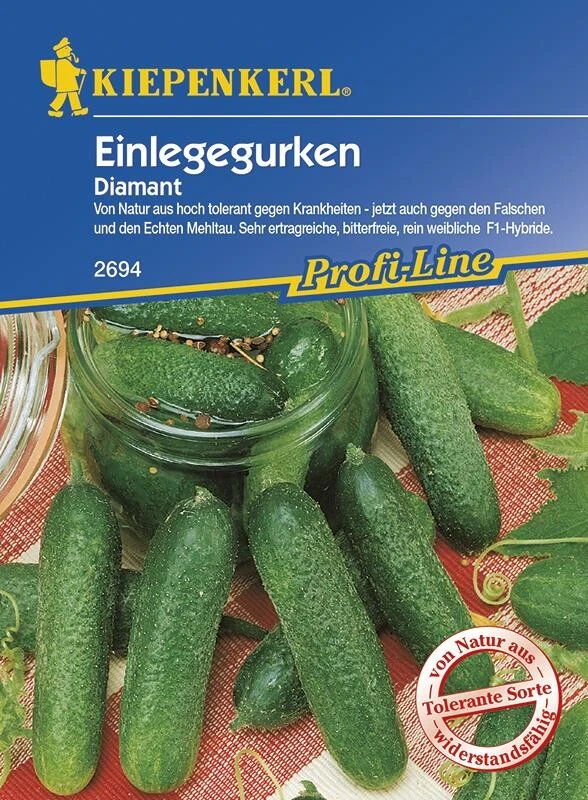 Einlegegurken Traubengurken Diamant Parthenocarp Tolerant 3 Einlegegurken Traubengurken Diamant Parthenocarp Tolerant