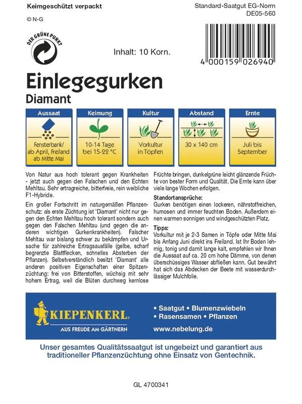 Einlegegurken Traubengurken Diamant Parthenocarp Tolerant 4 Einlegegurken Traubengurken Diamant Parthenocarp Tolerant – Bild 2