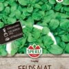 Feldsalat Trophy, Kübelgeeignet, Freiland & Gewächshaus, Schnellwüchsig, Saatgut Von Sperli 1 Feldsalat Trophy, Kübelgeeignet, Freiland & Gewächshaus, Schnellwüchsig, Saatgut Von Sperli -Krauter Samen Geschaft feldsalat trophy