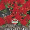 Feuersalbei Salvia Splendens Carrabiniere 2 Feuersalbei Salvia Splendens Carrabiniere -Krauter Samen Geschaft feuersalbei salvia splendens carrabiniere