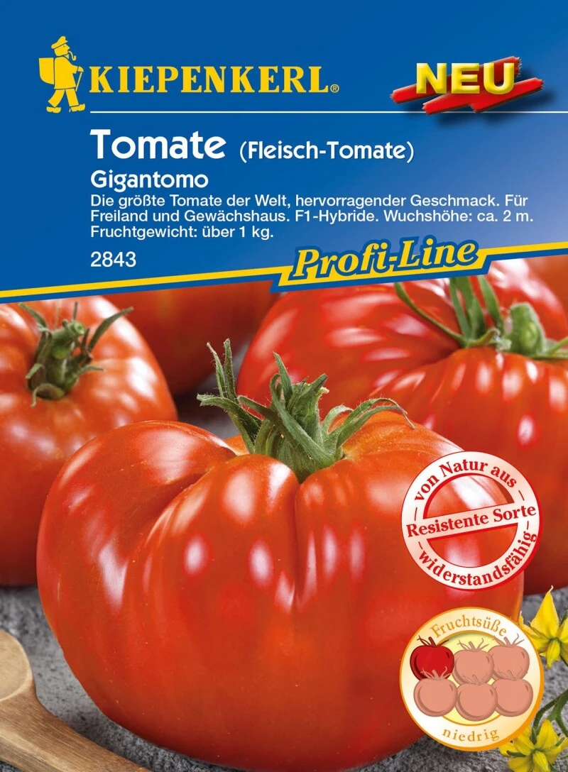 Fleisch-Tomate Gigantomo F1,größte Tomate Der Welt, Für Freiland Und Gewächshaus 4 Fleisch-Tomate Gigantomo F1,größte Tomate Der Welt, Für Freiland Und Gewächshaus – Bild 2