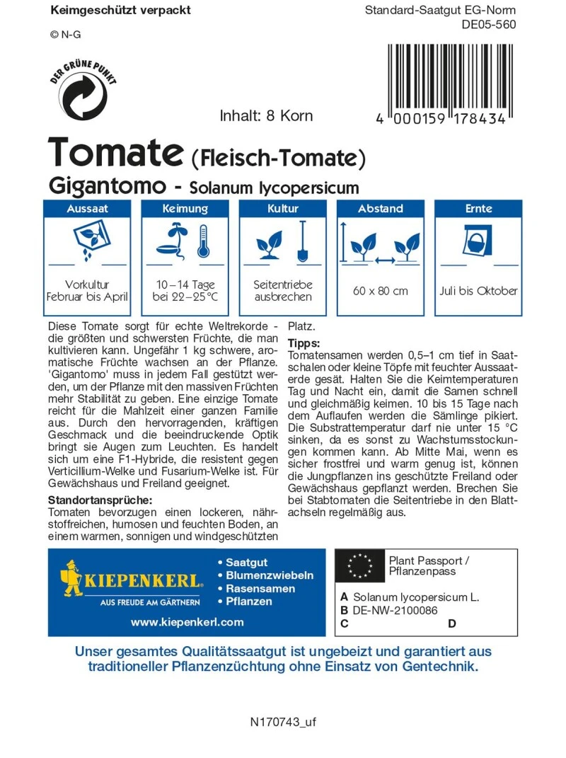 Fleisch-Tomate Gigantomo F1,größte Tomate Der Welt, Für Freiland Und Gewächshaus 3 Fleisch-Tomate Gigantomo F1,größte Tomate Der Welt, Für Freiland Und Gewächshaus