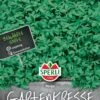 Gartenkresse Mega, Großblättrige Gartenkresse Ist Eine Einjährige Vitaminreiche Gewürzpflanze 2 Gartenkresse Mega, Großblättrige Gartenkresse Ist Eine Einjährige Vitaminreiche Gewürzpflanze -Krauter Samen Geschaft gartenkresse mega