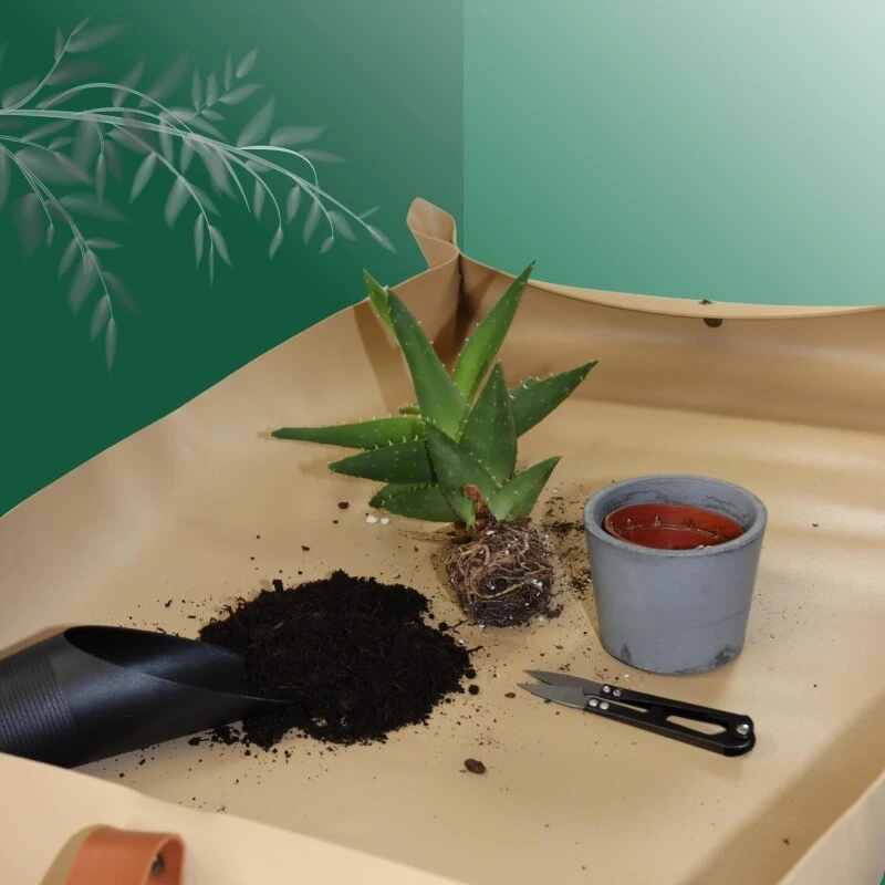 Kunstleder Pflanzmatte - Beige/ Braun - Sauber Umtopfen, Pikieren Und Kreativ Arbeiten 7 Kunstleder Pflanzmatte - Beige/ Braun - Sauber Umtopfen, Pikieren Und Kreativ Arbeiten – Bild 5