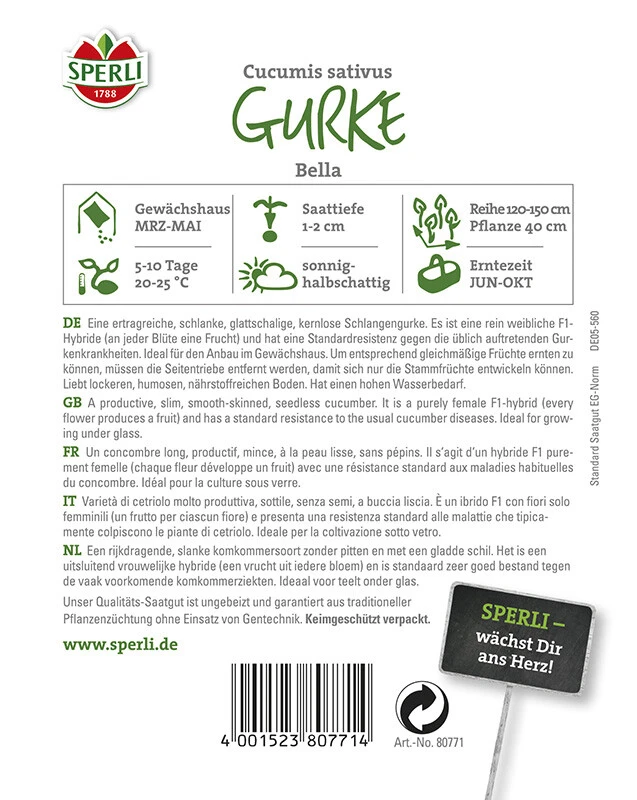 Gurke Salatgurke Bella F1rein Weiblich 3 Gurke Salatgurke Bella F1rein Weiblich