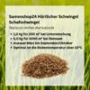 Samenshop24® Härtlicher Schwingel/ Schafschwingel Festuca Trachyphylla | 1kg Für 200 M² 2 Samenshop24® Härtlicher Schwingel/ Schafschwingel Festuca Trachyphylla | 1kg Für 200 M² -Krauter Samen Geschaft haertlicher schwingel schafschwingel2