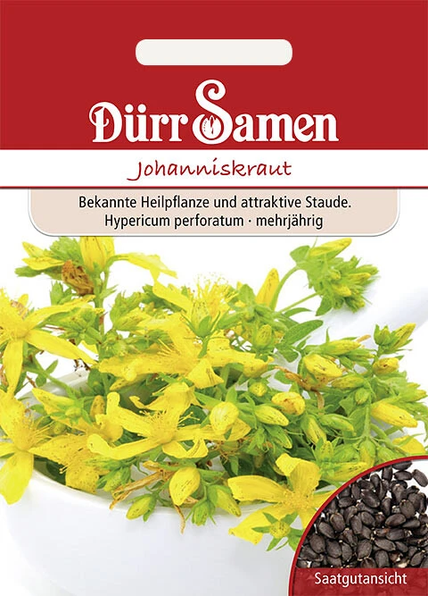 Johanniskraut Hypericum Perforatum 3 Johanniskraut Hypericum Perforatum