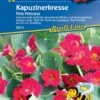 Kapuzinerkresse Pink Princess, Intensiv Pink Leuchtend, Ideal Für Töpfe Kübel Und Ampel, Essbar, Nahrungsquelle Für Nützlinge Und Insekten 2 Kapuzinerkresse Pink Princess, Intensiv Pink Leuchtend, Ideal Für Töpfe Kübel Und Ampel, Essbar, Nahrungsquelle Für Nützlinge Und Insekten -Krauter Samen Geschaft kapuzinerkresse pink princess intensiv pink leuchtend ideal fuer toepfe kuebel und ampel essbar nahrungsquelle fuer nuetzlinge und insekten