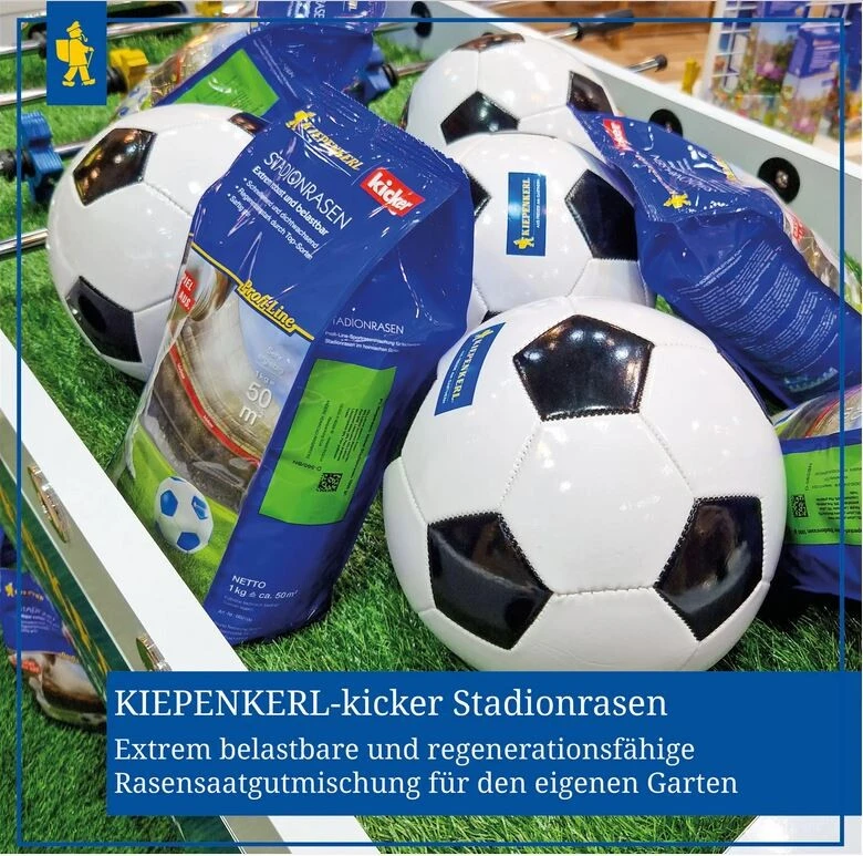 Kiepenkerl Kicker Stadionrasen, 1kg Für 50m², Rasensamen, Extrem Robust Und Belastbar 3 Kiepenkerl Kicker Stadionrasen, 1kg Für 50m², Rasensamen, Extrem Robust Und Belastbar