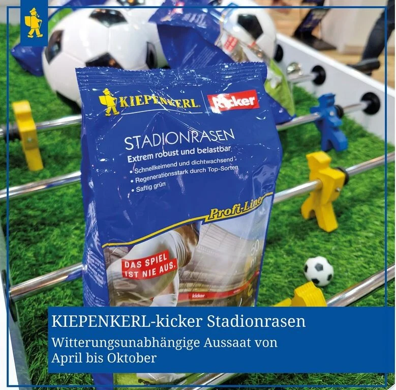 Kiepenkerl Kicker Stadionrasen, 1kg Für 50m², Rasensamen, Extrem Robust Und Belastbar 5 Kiepenkerl Kicker Stadionrasen, 1kg Für 50m², Rasensamen, Extrem Robust Und Belastbar – Bild 3