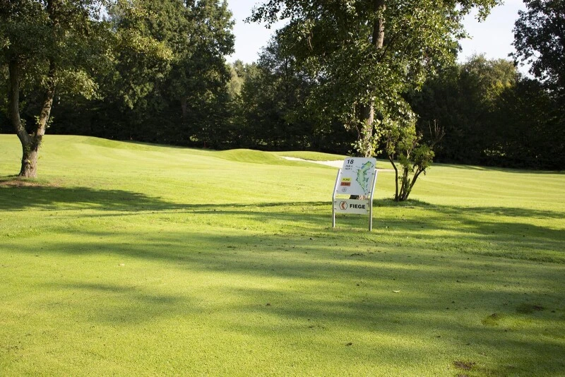 Kiepenkerl Golfrasen Masters Nachsaat 10kg 3 Kiepenkerl Golfrasen Masters Nachsaat 10kg