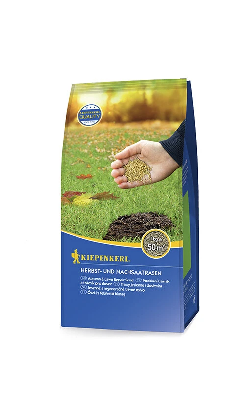 Kiepenkerl Herbst & Nachsaatrasen, Inhalt: 1Kg Für Ca. 50 M² 3 Kiepenkerl Herbst & Nachsaatrasen, Inhalt: 1Kg Für Ca. 50 M²