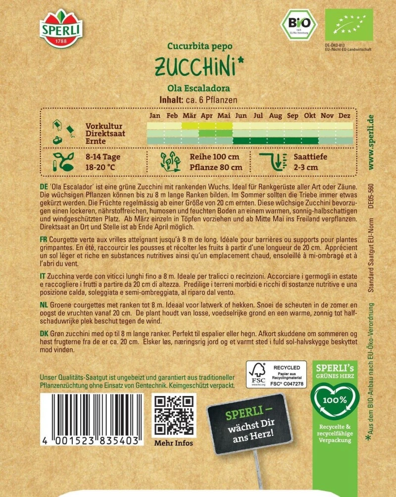 BIO Kletterzucchini Ola Escaladora, Starkwüchsig Und Ertragreich, Für Frühe Ernte 3 BIO Kletterzucchini Ola Escaladora, Starkwüchsig Und Ertragreich, Für Frühe Ernte
