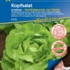 Kopfsalat Analena Saatband, Hitzebeständige Sorte Bildet Große Köpfe, Widerstandfähig 1 Kopfsalat Analena Saatband, Hitzebeständige Sorte Bildet Große Köpfe, Widerstandfähig -Krauter Samen Geschaft kopfsalat analena