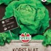 Kopfsalat Attraktion, Widerstandsfähig, Schossfest, Bewährter Typ, Feste Köpfe, Saatgut Von Sperli -Krauter Samen Geschaft kopfsalat attraktion