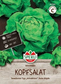 Kopfsalat Attraktion, Widerstandsfähig, Schossfest, Bewährter Typ, Feste Köpfe, Saatgut Von Sperli