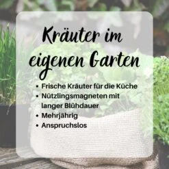 Kräuterspirale Anlegen, Verschiedene Saatgut Sparsets Mehrere Größen 15 Kräuterspirale Anlegen, Verschiedene Saatgut Sparsets Mehrere Größen -Krauter Samen Geschaft kraeuterspirale sparset 52