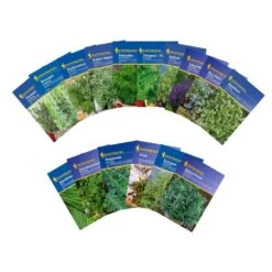 Kräuterspirale Anlegen, Verschiedene Saatgut Sparsets Mehrere Größen 11 Kräuterspirale Anlegen, Verschiedene Saatgut Sparsets Mehrere Größen -Krauter Samen Geschaft kraeuterspirale sparset 54