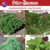 Küchenkräutersortiment Für Balkon Und Terrasse 2 Küchenkräutersortiment Für Balkon Und Terrasse -Krauter Samen Geschaft kuechenkraeutersortiment fuer balkon und terrasse