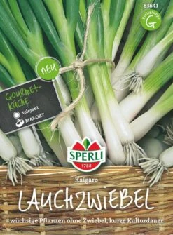 Lauchzwiebel Kaigaro, Tolerant, Wüchsige Pflanzen Ohne Zwiebel Mit Kurzer Kulturdauer