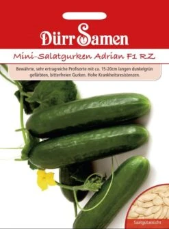 Dürr Mini-Gurken Adrian F1, Sehr Ertragreich Mit Ca. 15-20 Cm Dunkelgrünen Bitterfreien Gurken