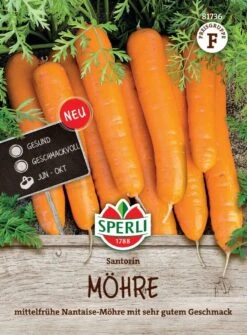 Möhre Santorin F1, (Nantaise Sorte) Mit Sehr Gutem Geschmack